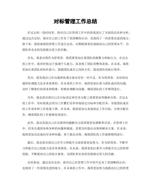 对标管理工作总结