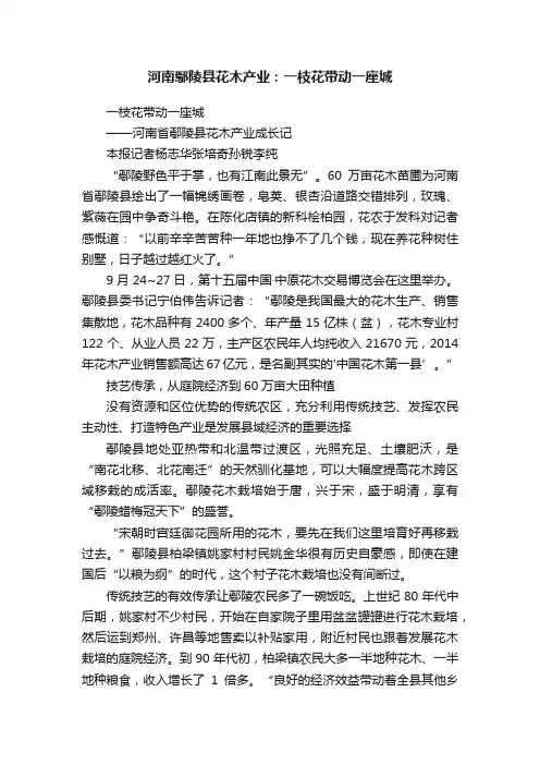 河南鄢陵县花木产业：一枝花带动一座城
