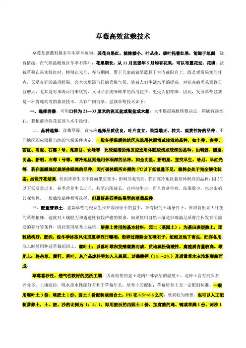 草莓高效盆栽技术