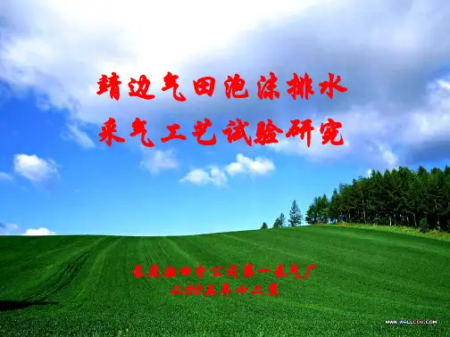泡沫排水采气论文