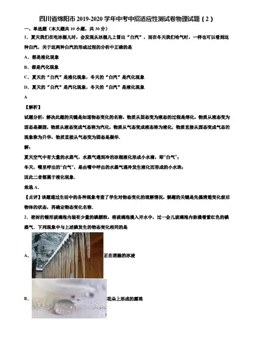 四川省绵阳市2019-2020学年中考中招适应性测试卷物理试题(2)含解析
