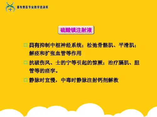 【实用】硫酸镁注射液PPT文档