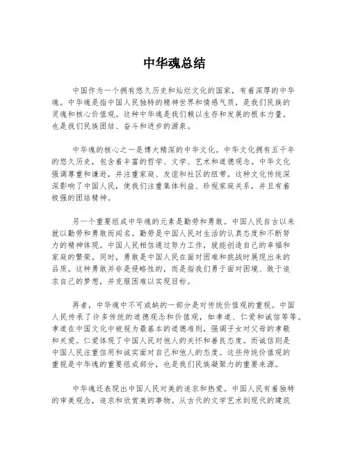 中华魂总结