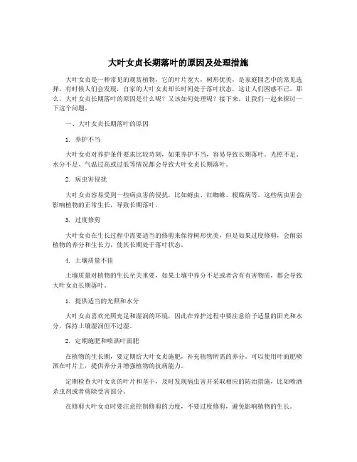 大叶女贞长期落叶的原因及处理措施