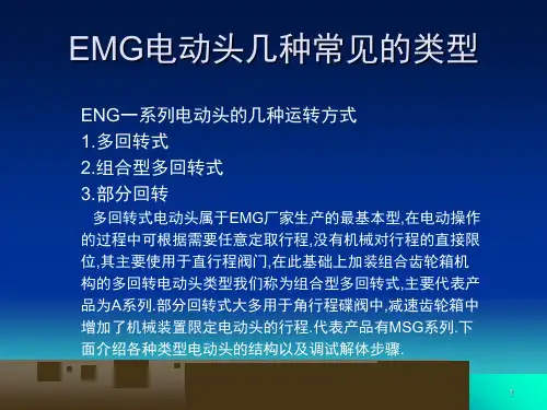 EMG电动执行机构课堂PPT