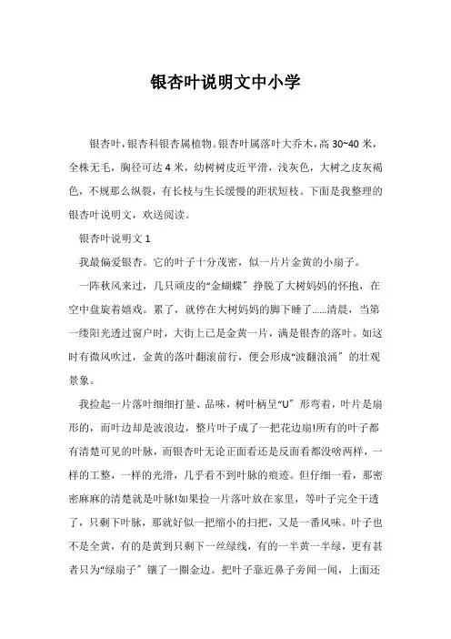 (说明文)银杏叶说明文中小学