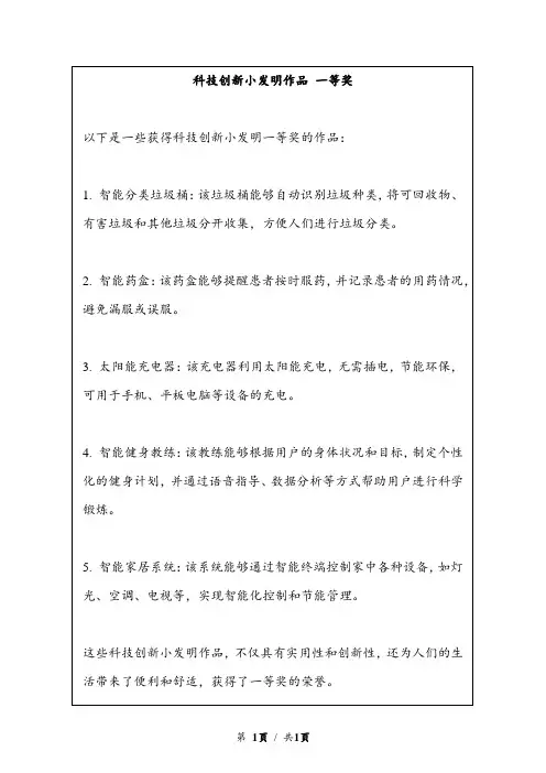 科技创新小发明作品 一等奖