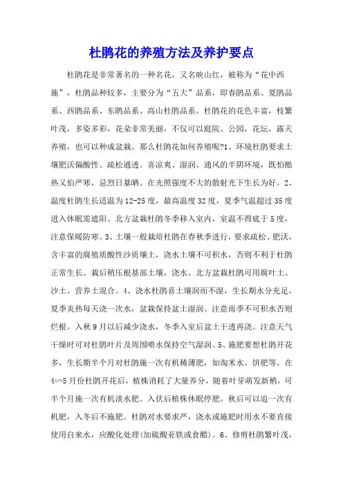杜鹃花的养殖方法及养护要点