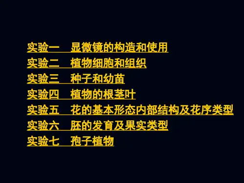 植物学实验