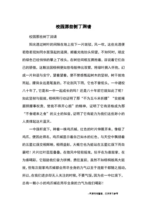 校园那些树丁润请_高中散文