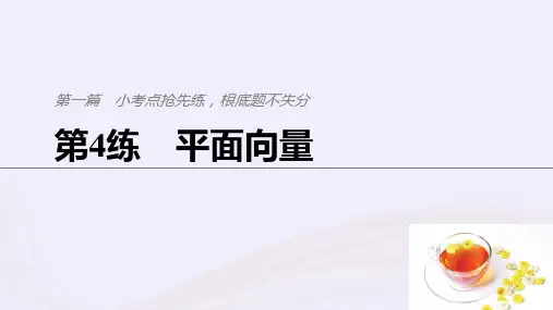 (浙江专用)2021高考数学二轮复习精准提分第一篇小考点抢先练,基础题不失分第4练平面向量课件