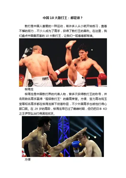 中国10大散打王：都是谁？