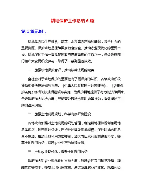 耕地保护工作总结6篇