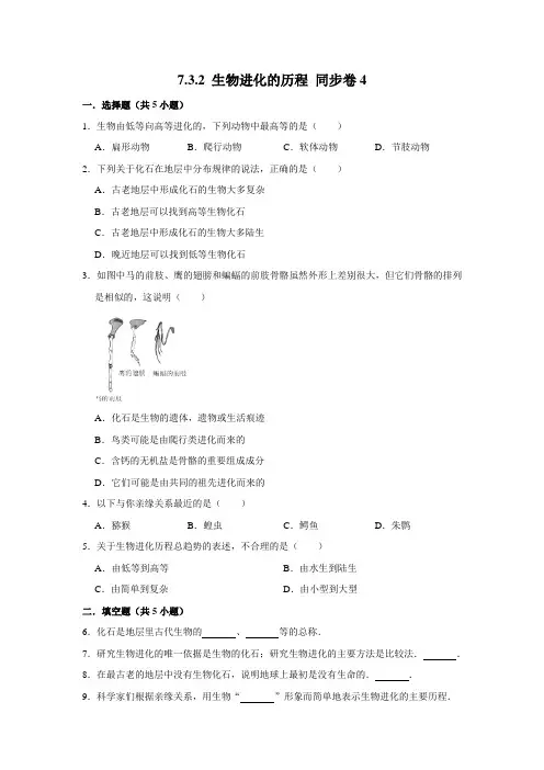 人教版生物八年级下册生物进化的历程