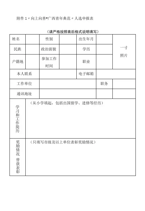 “向上向善·广西青年榜样”人选申报表