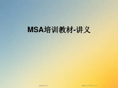 MSA培训教材讲义