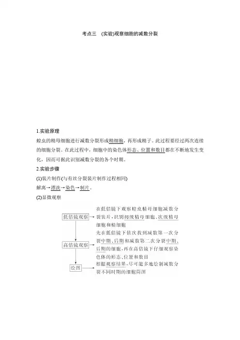 考点三 (实验)观察细胞的减数分裂