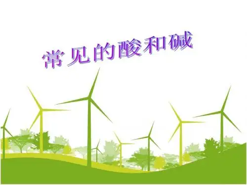 常见的酸和碱