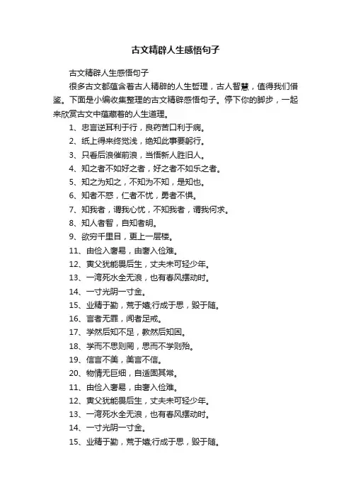 古文精辟人生感悟句子