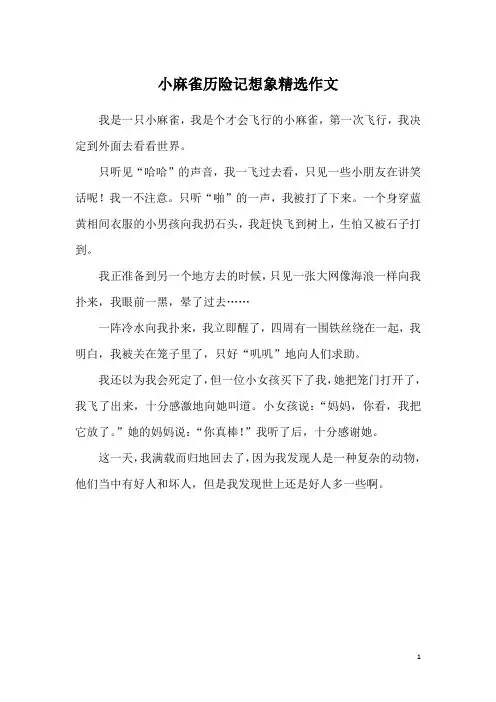 小麻雀历险记想象精选作文
