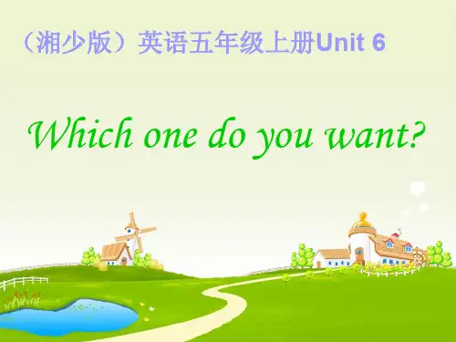 湘少版五年级上册英语Unit 6Which one do you want