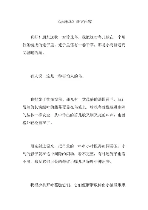 《珍珠鸟》课文内容