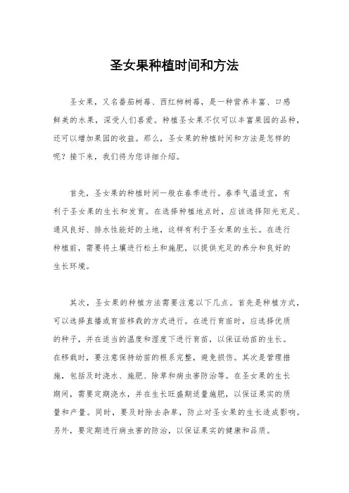 圣女果种植时间和方法