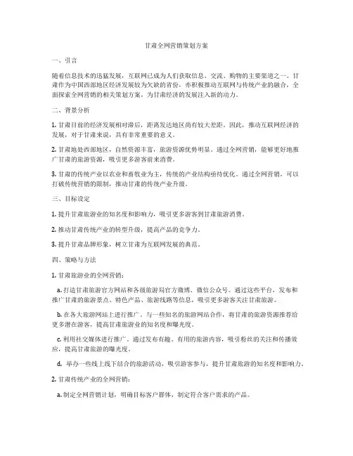 甘肃全网营销策划方案