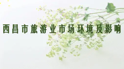 西昌市旅游业市场环境及影响