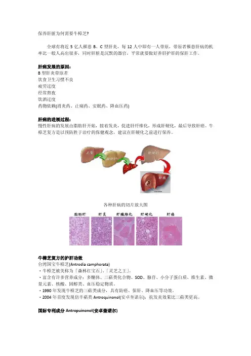 保养肝脏为何需要牛樟芝