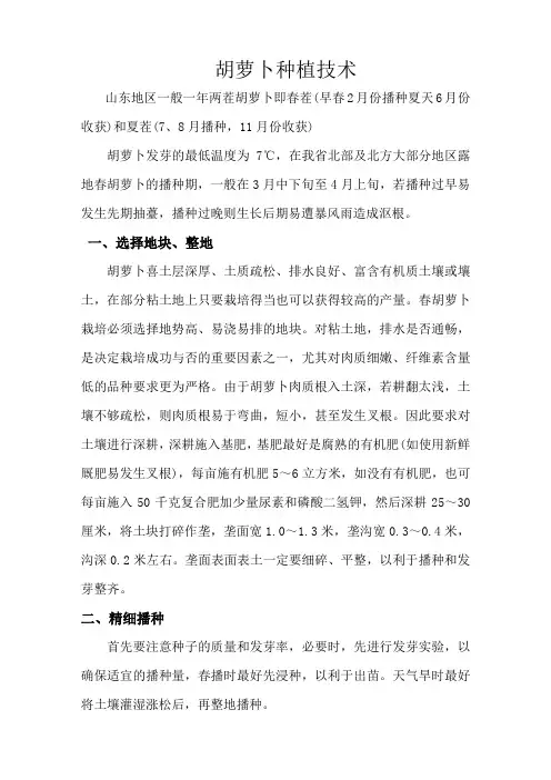 胡萝卜种植技术