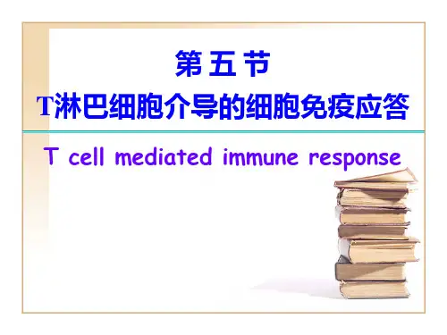 T细胞应答