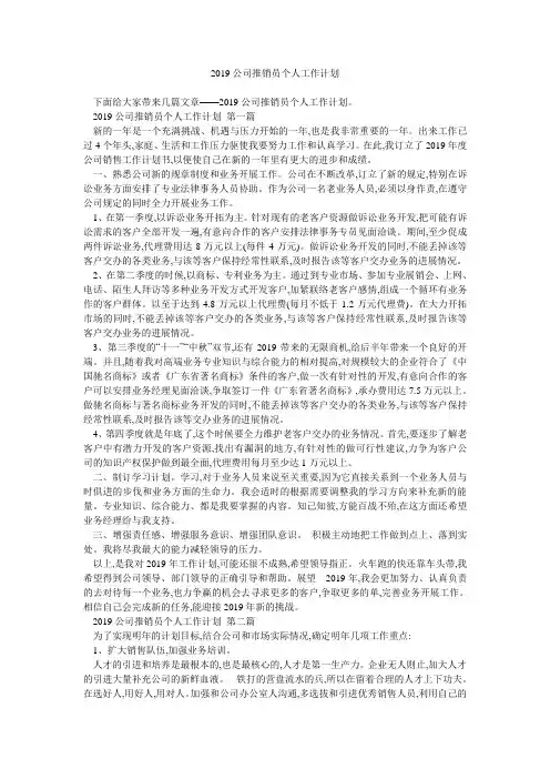 2019公司推销员个人工作计划 