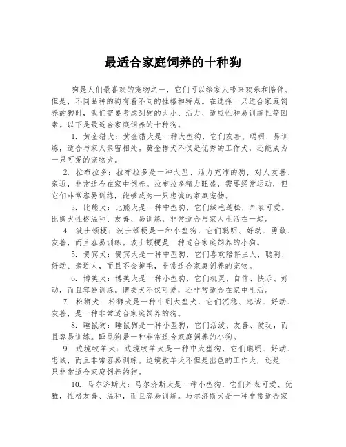 最适合家庭饲养的十种狗