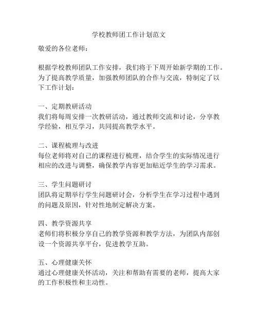学校教师团工作计划范文
