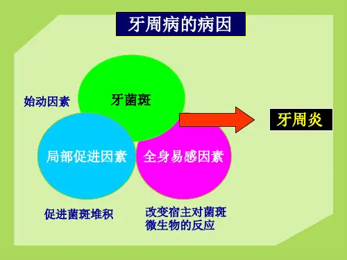 牙周病的全身因素和局部促进因素