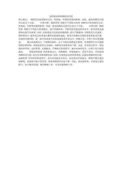 怎样提高种鸡群的均匀度