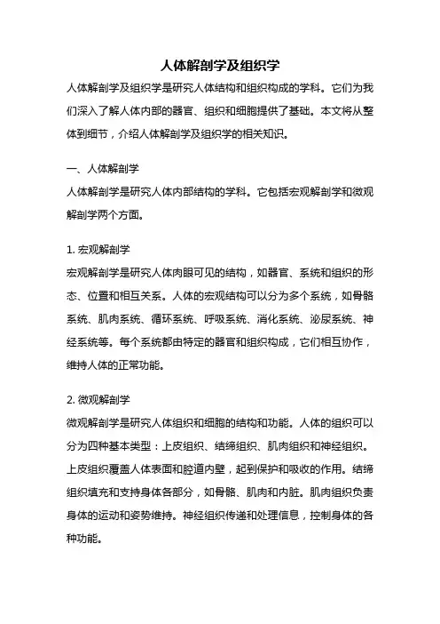 人体解剖学及组织学