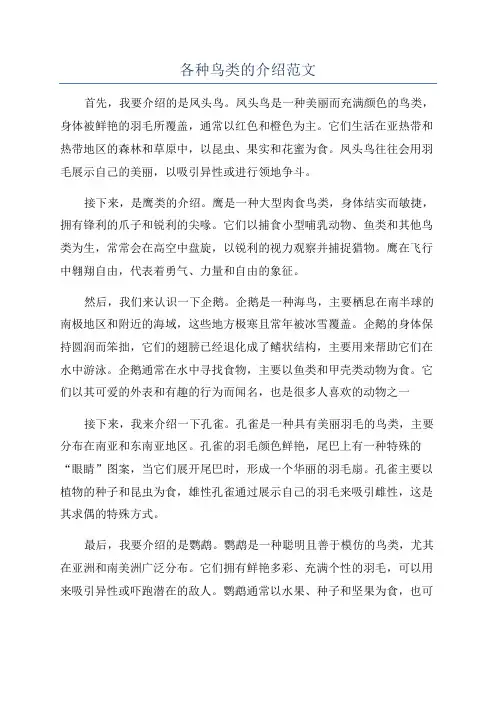 各种鸟类的介绍范文