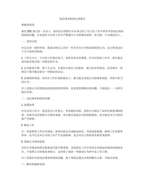 违反规章制度自查报告