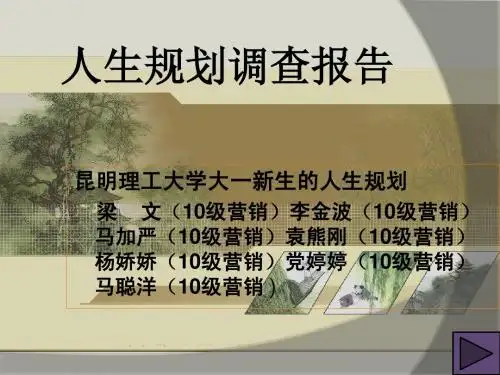 人生规划