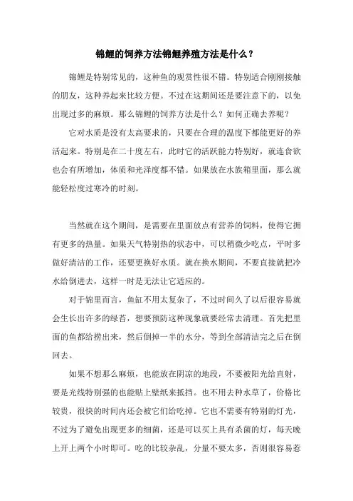 锦鲤的饲养方法 锦鲤养殖方法是什么？