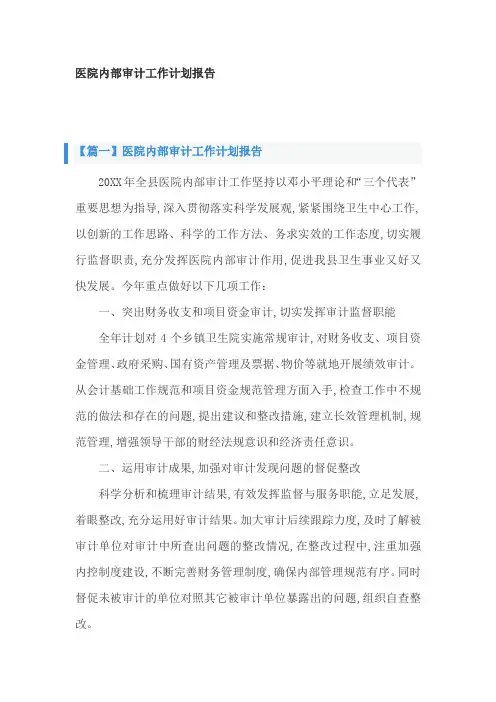 医院内部审计工作计划报告3篇