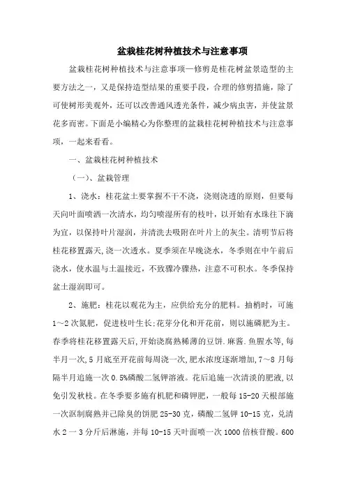 盆栽桂花树种植技术与注意事项