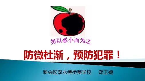 人教版(部编)八年级上册道德与法治《预防犯罪》课件公开课 (17)