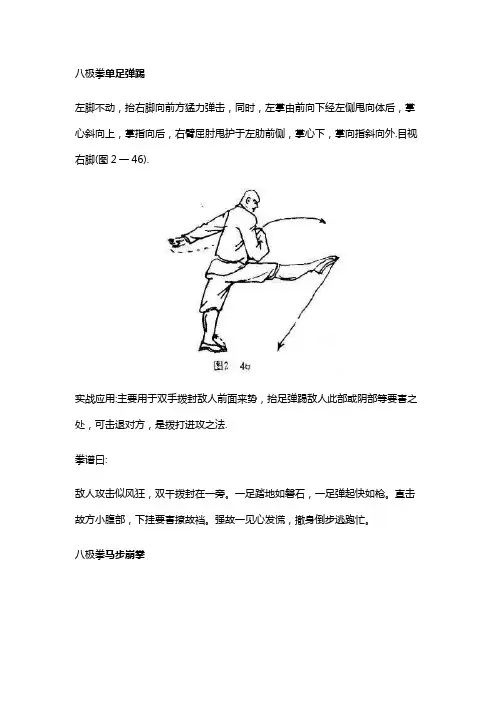 少林开门八极拳三十四至三十六式单足弹踢和马步崩拳等