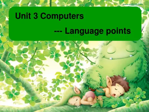 人教版英语必修二Unit 3 Computers Language points