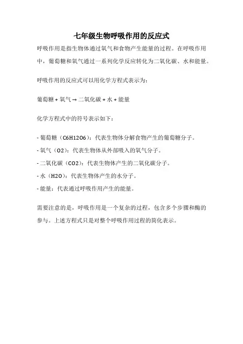 七年级生物呼吸作用的反应式
