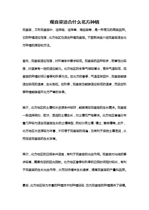 观音菜适合什么北方种植