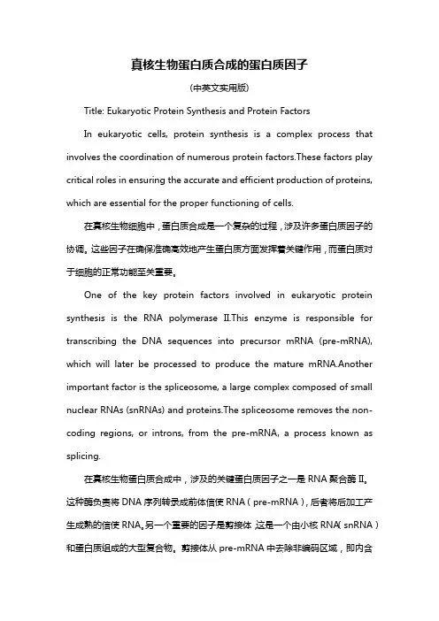 真核生物蛋白质合成的蛋白质因子